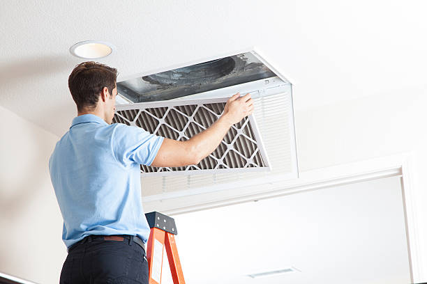 Best Local HVAC Companies  in Collierville, TN